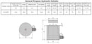 Einzelwirkender Hydraulikzylinder (50T, 300mm) (YG-50300)