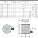 Aluminum Hydraulic Cylinder (10 Ton, 100mm) (YG-10100L)