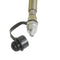 Pompe hydraulique pneumatique (700bar, 1,6L)+tuyau+connecteur de couplage (B-70BQ)